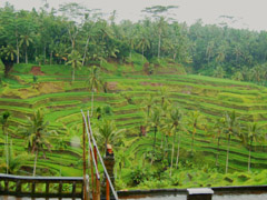 Bali - klenot indonéských ostrovů