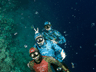 Freediving Dahab 2011