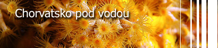 Chorvatsko pod vodou