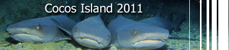 Cocos Island 2011