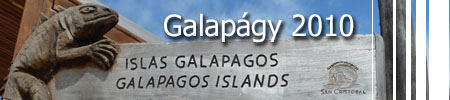 Galapgy 2010