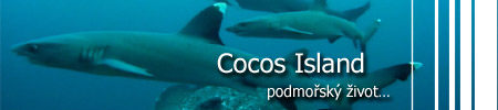 Cocos Islands - podmořský život...