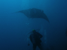 Maledivy pod vodou