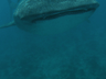Maledivy pod vodou